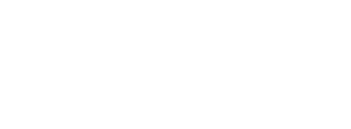 Logo_schriftzug